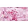 Панно Laparet Peony P4D281 40x80