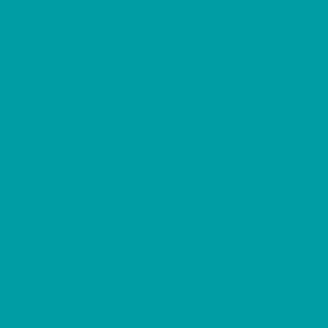Спортивное ПВХ покрытие Tarkett Omnisports Reference (Омниспортс Референс) R65 Teal (Тил) (рулон: 2x20.5м=41м2)