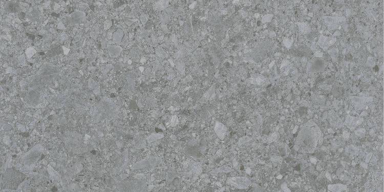Керамогранит Lasselsberger Ceramics Иней Техно 6493-0201 темно-серый 60x120