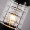 Уличный светильник Arte Lamp Coppia A5217FN-1BK фото 2