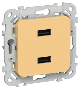 Розетка USB type A+A IEK Flite FI-U21-D31-K90 золотарник