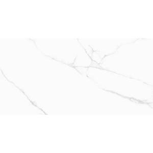 Керамогранит Simpolo MPL-058816 Crv-3141 Carving 60x120