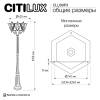Парковый Уличный светильник Citilux Forts CLU09P3 фото 13