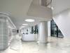 Керамогранит Rex Ceramiche I Classici Di Rex 746605 STATUARIO GLOSSY RET 6mm 120X240 фото 20