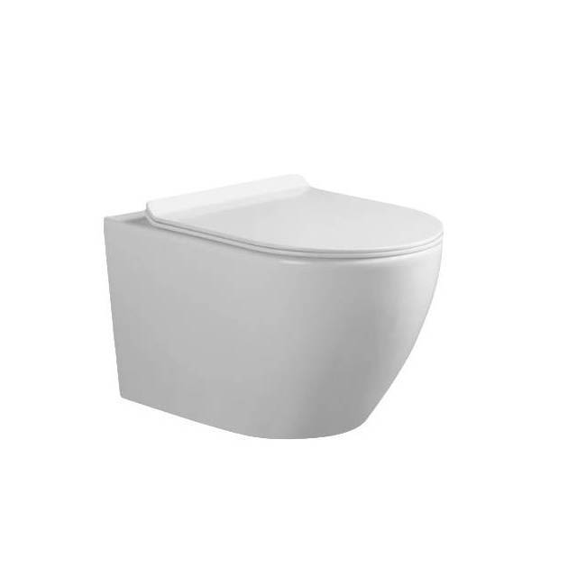 Унитаз подвесной Cerutti Spa Clio CT10582 безободковый, с крышкой-сиденьем микролифт