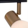 Спот Arte Lamp Falena A3117PL-2BK фото 2