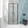 Душевая дверь в нишу Cerutti Spa Bella BELLA D81B 80х195 фото 3