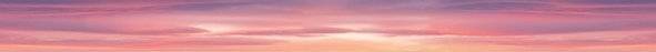 Бордюр Laparet Flamingo Pink 50x4