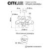 Потолочная люстра Citilux Tonga CL212193 фото 12
