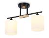 Подвесной светильник Ambrella light Traditional TR9543