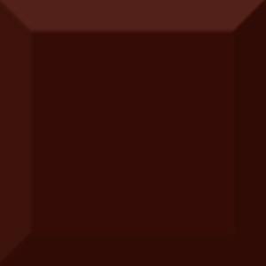 Керамическая плитка Absolut Keramika Monocolor Marron Biselado Brillo 10x10
