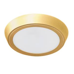 Настенно-потолочные светильники Lightstar Urbano 216934