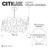 Подвесная люстра Citilux Dart CL231272 фото 13