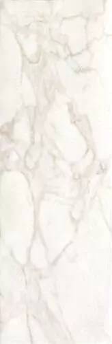 Керамическая плитка FAP Ceramiche Roma fRFC Calacatta 25x75
