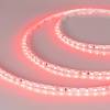 Светодиодная лента Arlight 9,6W/m 120LED/m 2835SMD красный 5M 015657(2) фото 2