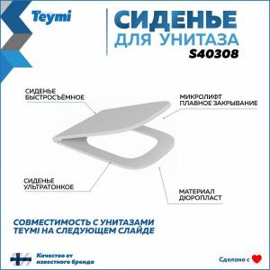 Сиденье для унитаза Teymi S40308 быстросъемное, с микролифтом
