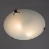 Настенный светильник Arte Lamp Plain A3720PL-2CC фото 2