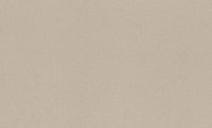 Обои виниловые Rasch Vitrage 975550