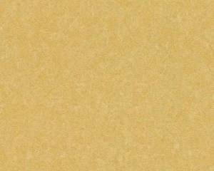 Обои A.S. Creation Versace 4 93582-3