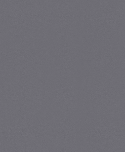 Обои Rasch Selection Vinyl/Vlies 607758