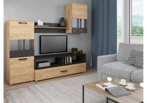 Стенка в гостиную Woodville Алваро 398917 дуб золотой/венге