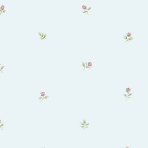 Обои бумажные Aura Rose Garden RG35718