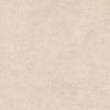Керамогранит Alma Ceramica Amsterdam GFU6060ADM40R матовый 60x60x9 фото 7