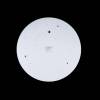 Потолочный светодиодный светильник Loft IT Axel 10002/24 white фото 4