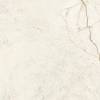 Керамогранит Progres Ceramica Andrea Creama PRO 1207G 60x60 фото 7