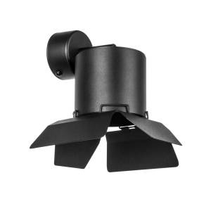 Настенно-потолочные светильники Lightstar Rullo RBX3487487