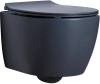 Унитаз подвесной Allen Brau Fantasy 4.11004.AN антрацит, без сиденья