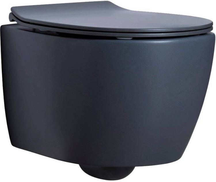 Унитаз подвесной Allen Brau Fantasy 4.11004.AN антрацит, без сиденья