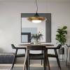 Подвесной светодиодный светильник Imperium Loft Rask 151756-26 фото 9