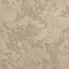 Защитное покрытие для декоративных штукатурок Silk Plaster Topcoat Matte 03-1209 1 л фото 2