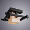 Потолочный светильник Arte Lamp Woods A8252PL-1CK фото 3