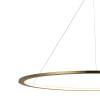 Подвесной светодиодный светильник Loft IT Ring 10014XXL фото 3