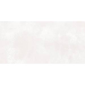 Керамогранит A-Ceramica 1002 Eco LEDB Matt 60x120