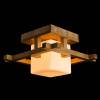 Люстра Arte Lamp Woods A8252PL-1BR фото 2