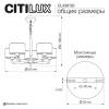 Подвесная люстра Citilux Sherman CL436152 фото 10