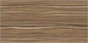 Керамическая плитка Alma Ceramica Plesso TWU09PLS424 50х24.9