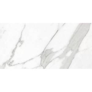 Керамогранит Seron Ex SN70730 03 Glossy 80x160