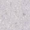 Керамогранит Laparet Matrix K952738R0001LPET Светло-Серый 60x60 фото 3