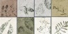 Керамическая плитка Global Tile Delia GT234VG Мультиколор 30x60