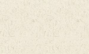 Обои Rasch Metal Spirit 977400