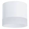 Потолочный светильник Arte Lamp Castor A5554PL-1WH фото 2
