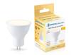 Лампа светодиодная Ambrella light Bulbing 161303 фото 3