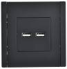 Розетка USB type A+A IEK Forte&Piano FP-U21-D31-K02 черный фото 3