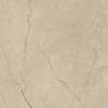 Керамогранит Lasselsberger Ceramics Полдень 6461-0417 песочный 60х60 фото 7