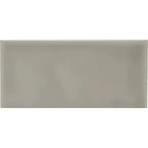 Керамическая плитка Adex Studio ADST1027 Liso Graystone 9.8x19.8