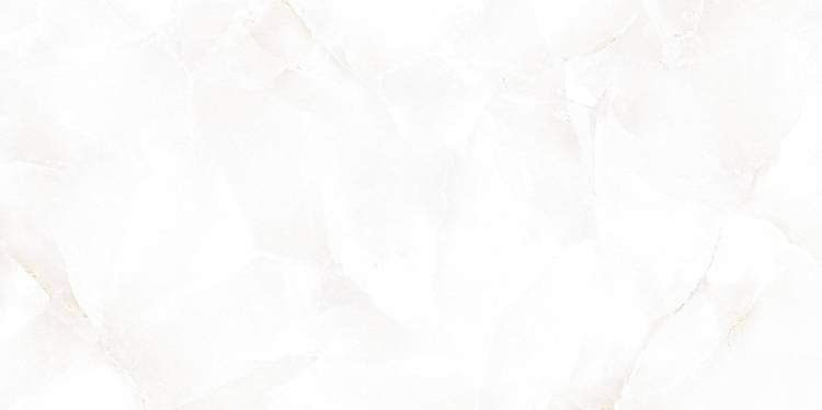 Керамическая плитка Alma Ceramica Bergamo TWU09BGM004 24.9x50